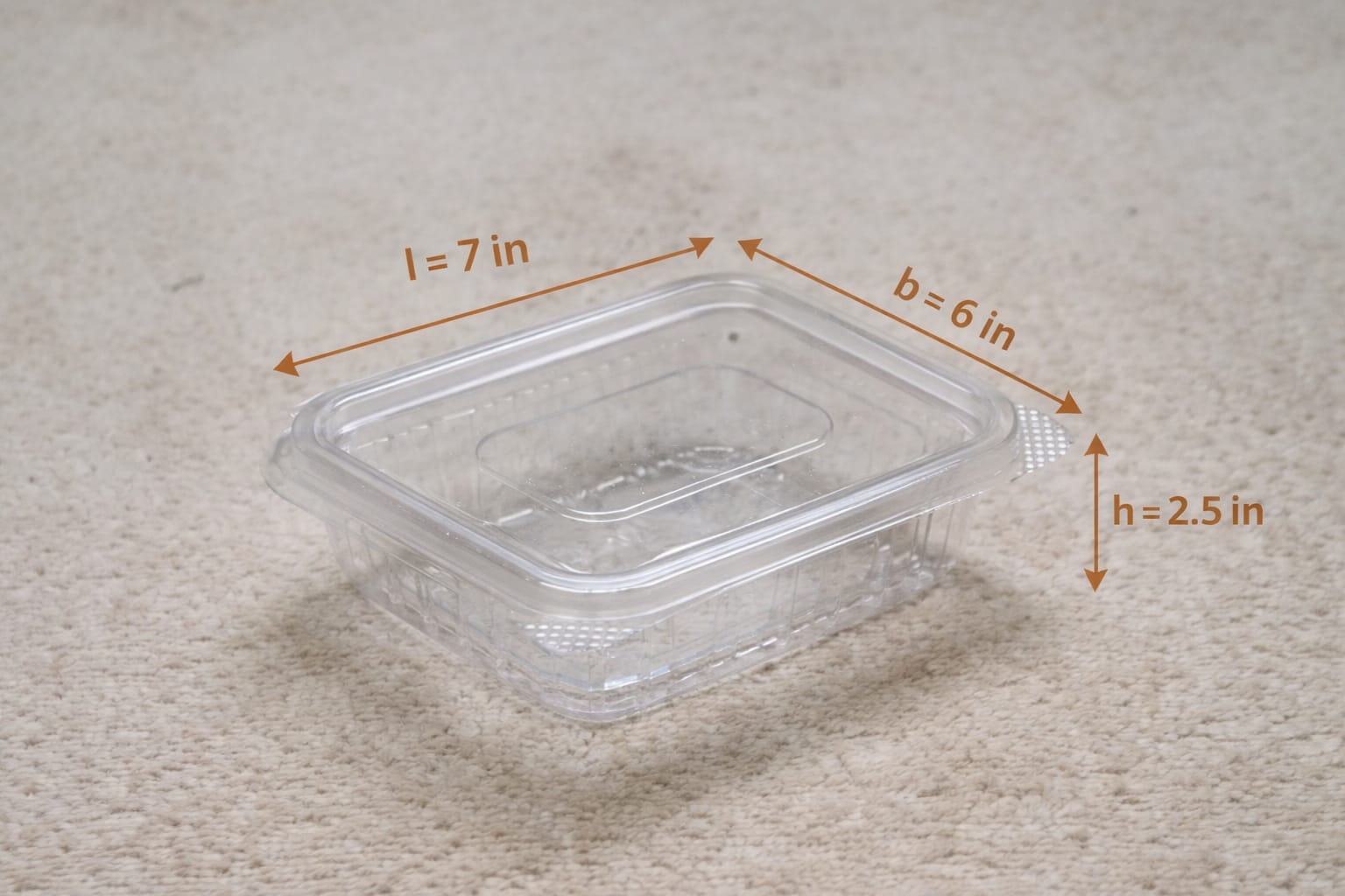 PVC Box / Clear Plastic Container - Pack of 10 Pcs - Image 8